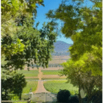 Captura de pantalla 2025 07 29 163334