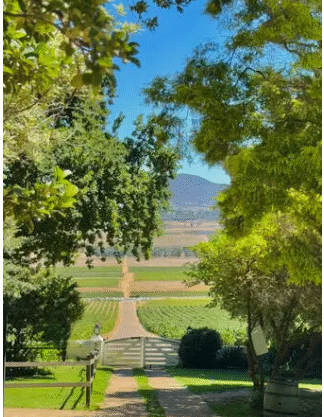 Captura de pantalla 2025 07 29 163334