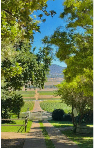 Captura de pantalla 2025 07 29 163334