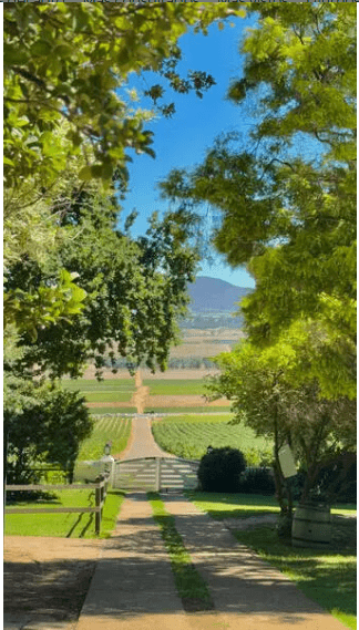 Captura de pantalla 2025 07 29 163334