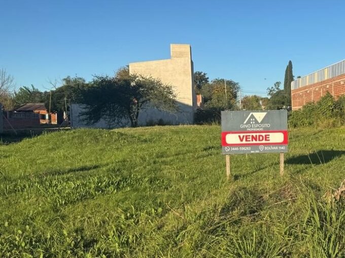 Imagen de whatsapp 2025 07 17 a las 10.20.35 e8f0b02b