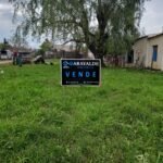 Whatsapp image 2024 05 21 at 16.37.01 (1)