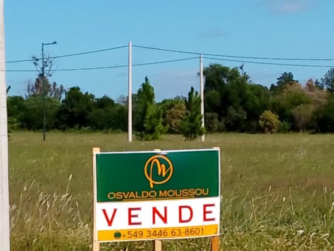 Whatsapp image 2025 04 01 at 11.39.20 (1)