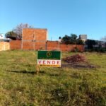 Whatsapp image 2025 06 04 at 09.22.01