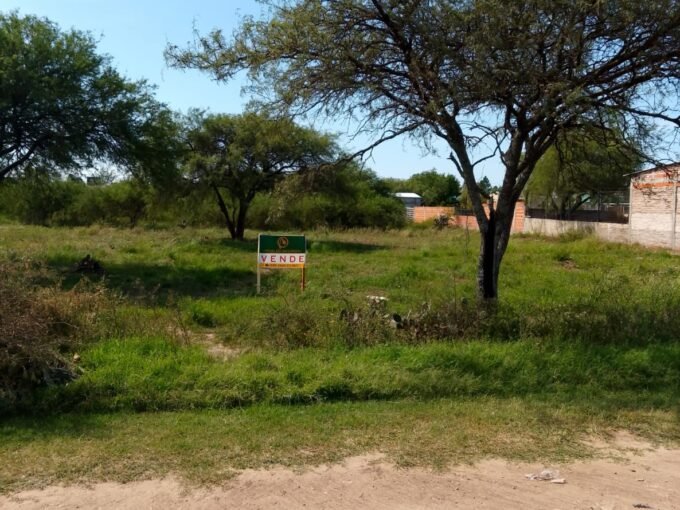 Whatsapp image 2025 07 21 at 11.55.57