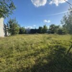 WhatsApp Image 2026 02 24 at 18.55.59