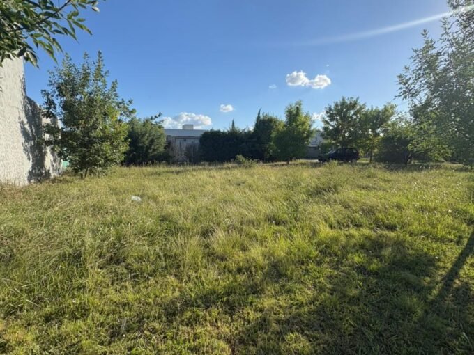 WhatsApp Image 2026 02 24 at 18.55.59